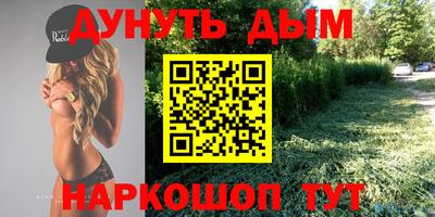 крисы Лесосибирск