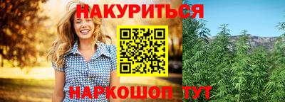 крисы Лесосибирск