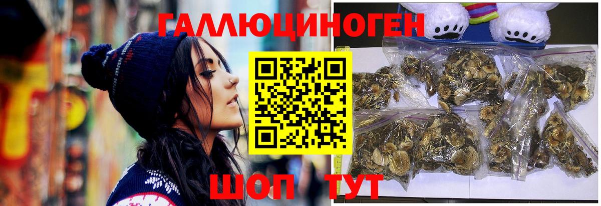 Псилоцибиновые грибы GOLDEN TEACHER Будённовск